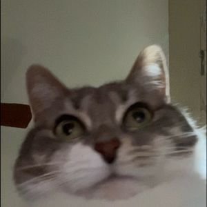 Meet your Posher, Jenelle